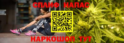сатива Донской