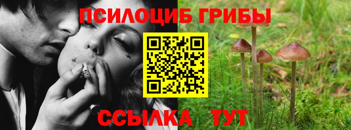 Псилоцибиновые грибы мицелий  Вход с VPN  Учалы  Галлюциногенные грибы мицелий 