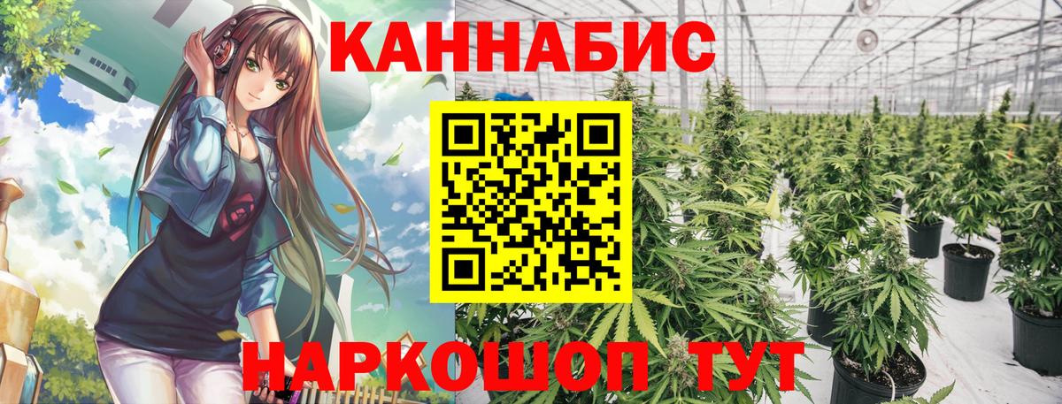 Бошки марихуана конопля  МАРИХУАНА White Widow  Вход с VPN  Учалы  Конопля Ganja 